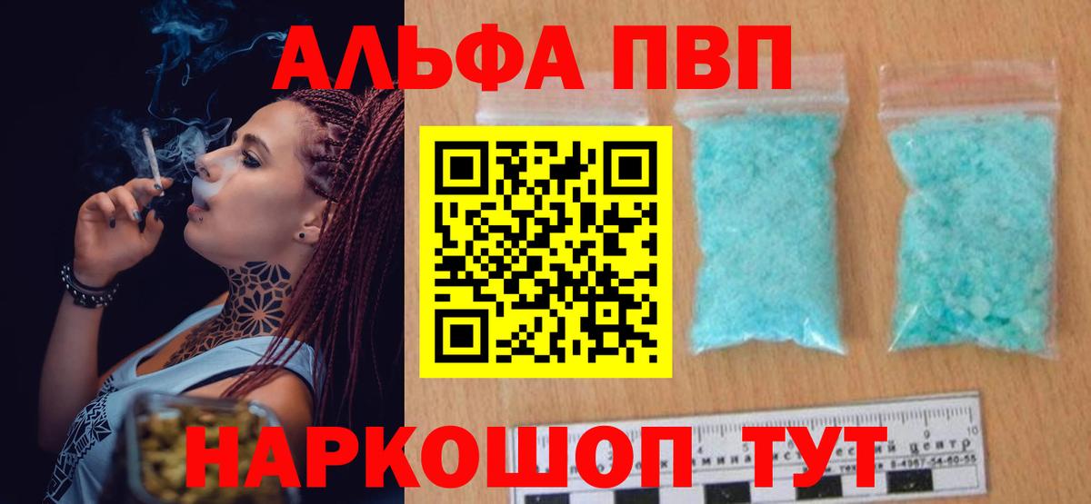 A PVP СК КРИС Воронеж
