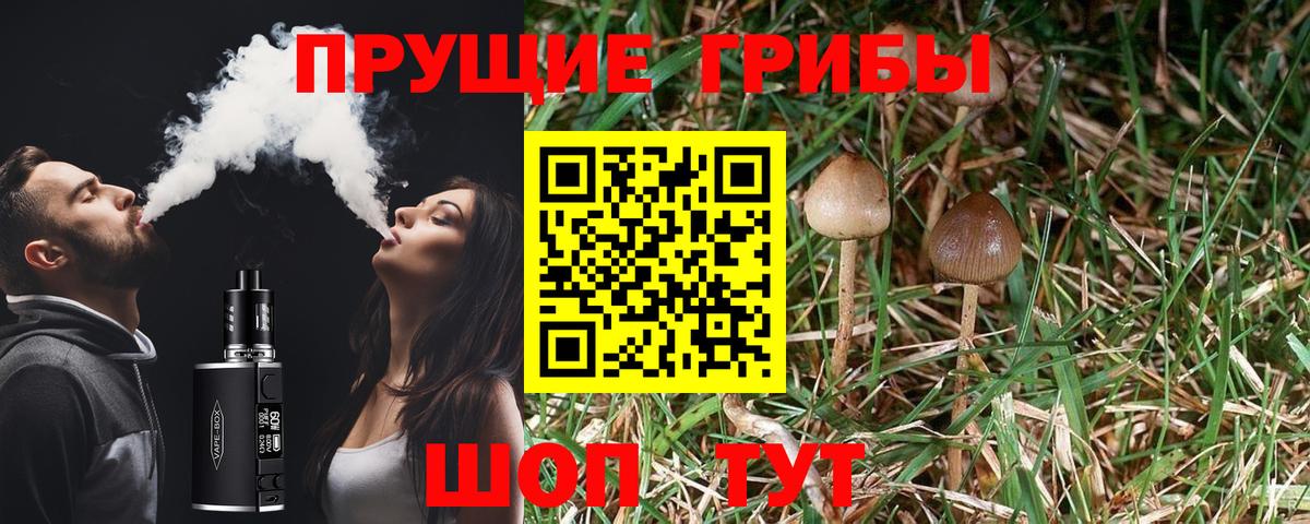 Галлюциногенные грибы MAGIC MUSHROOMS Воронеж