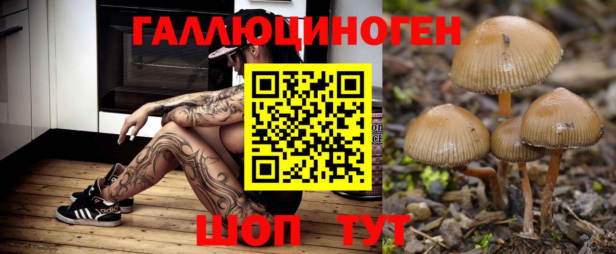 Воронеж  Галлюциногенные грибы Cubensis  Вход с VPN 